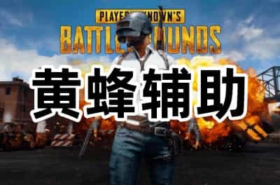 绝地求生黄蜂辅助
